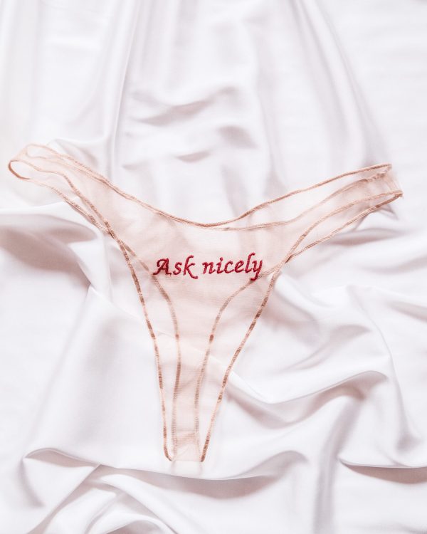 sheer panties by la cortigiana