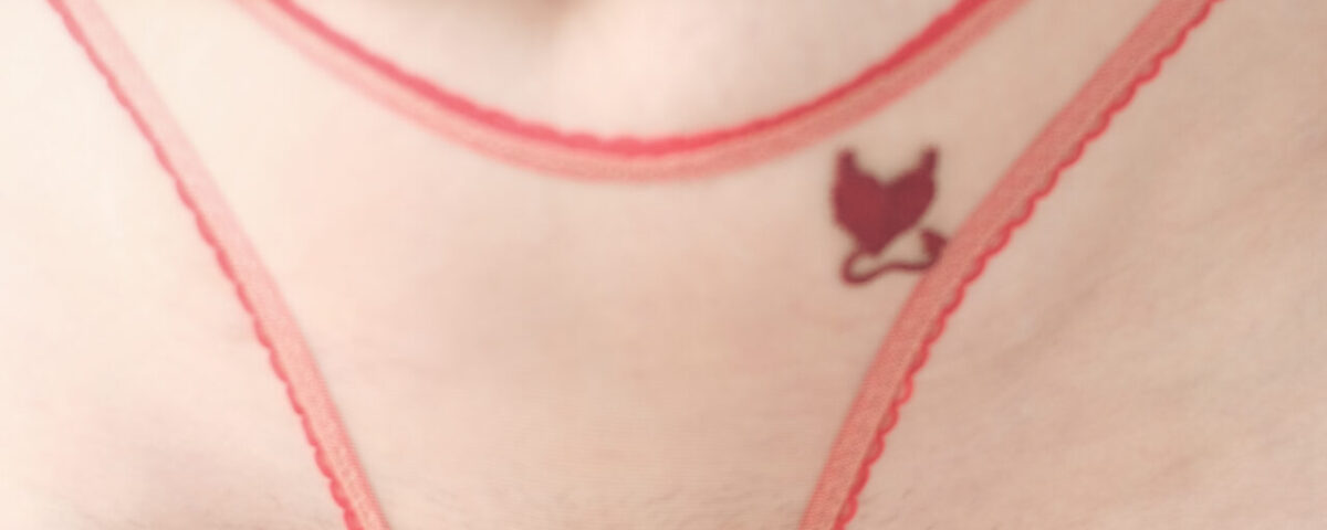 sheer panties by La Cortigiana