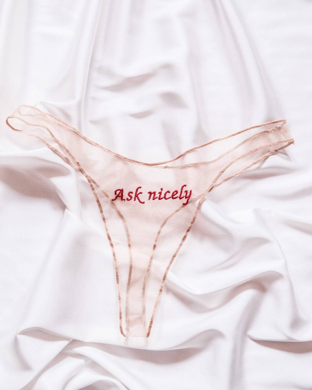 Sheer nude mesh panties with red Ask nicely embroidery by La Cortigiana