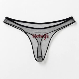 Black sheer mesh Hotwife embroidered panties front view