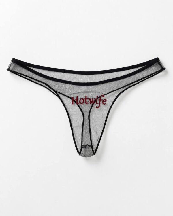 Black sheer mesh Hotwife embroidered panties front view