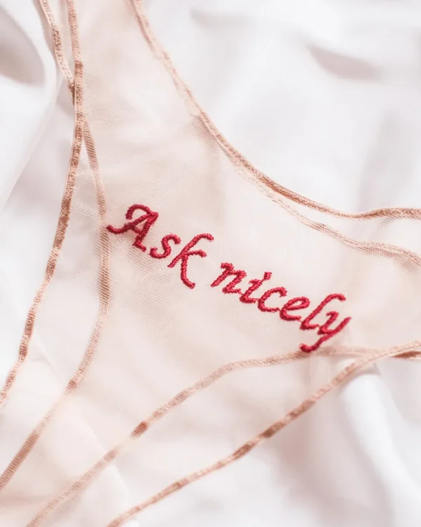 Ask Nicely Sheer Panties