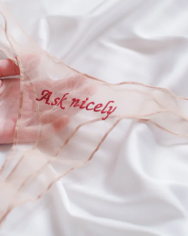 Ask Nicely Sheer Panties