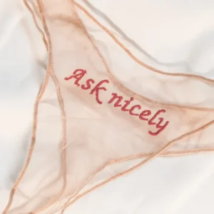 Ask Nicely Sheer Panties