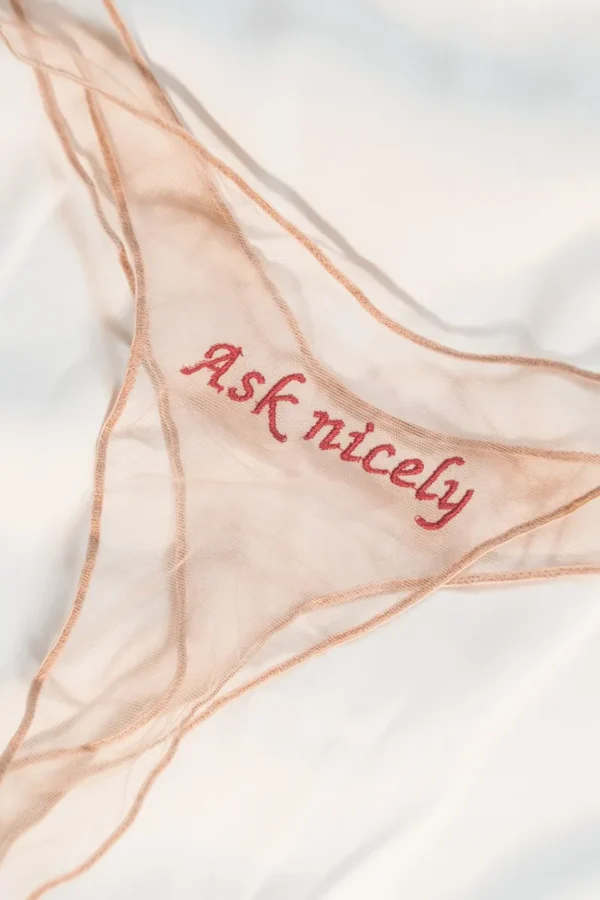 Ask Nicely Sheer Panties